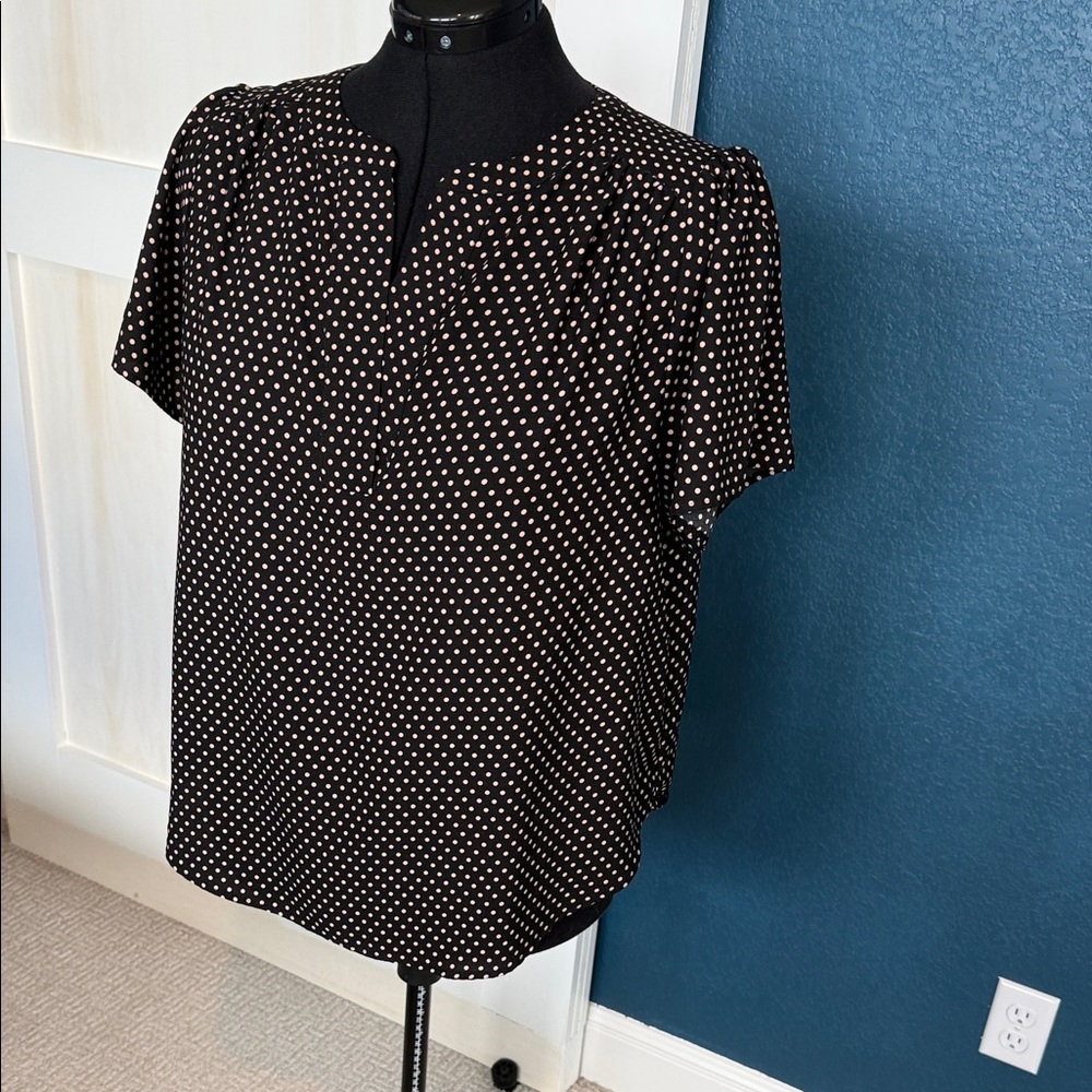 Ann Taylor Black Blouse with Cream Polka Dots